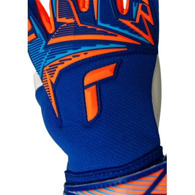 Goalkeeper Gloves Attrakt Freegel Advance – Professional Football Gloves