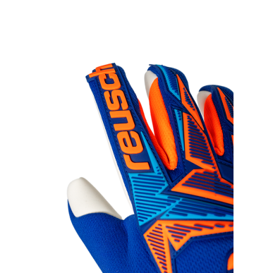Goalkeeper Gloves Attrakt Freegel Advance – Professional Football Gloves