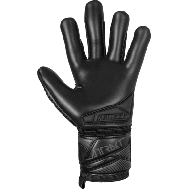Goalkeeper Gloves Attrakt Infinity Evolution NC – Professional Football Gloves