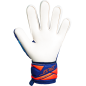 Goalkeeper Gloves Attrakt Advance Goalkeeper Gloves Attrakt Advance