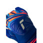 Goalkeeper Gloves Attrakt Grip Goalkeeper Gloves Attrakt Grip