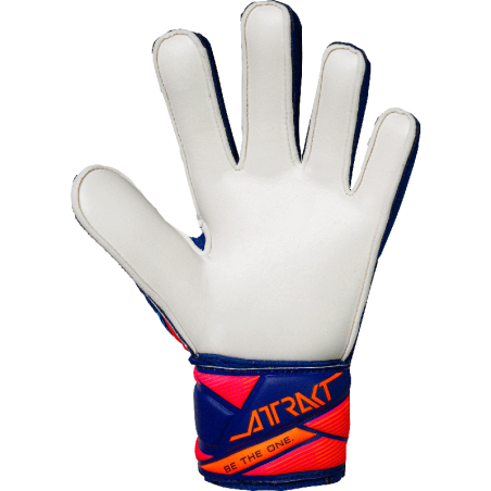 Goalkeeper Gloves Attrakt Solid Junior