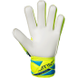 Goalkeeper Gloves Attrakt Solid Junior