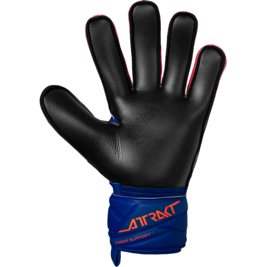 Attrakt Infinity Finger Support — Väravavahi kindad sõrmede toestusega